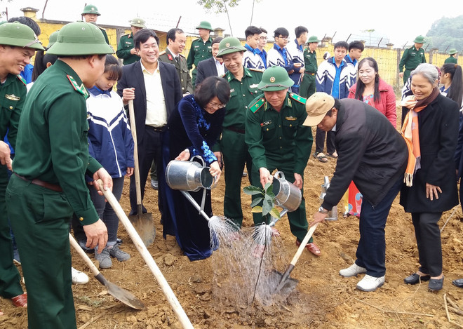 Phó Chủ tịch nước tham gia Tết trồng cây tại tỉnh Hòa Bình ảnh 1