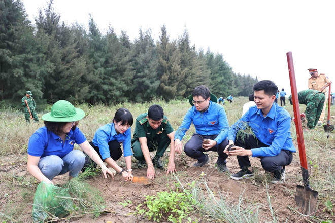 ttxvn_thanh nien_trong cay phi lao_ninh binh 2.jpg