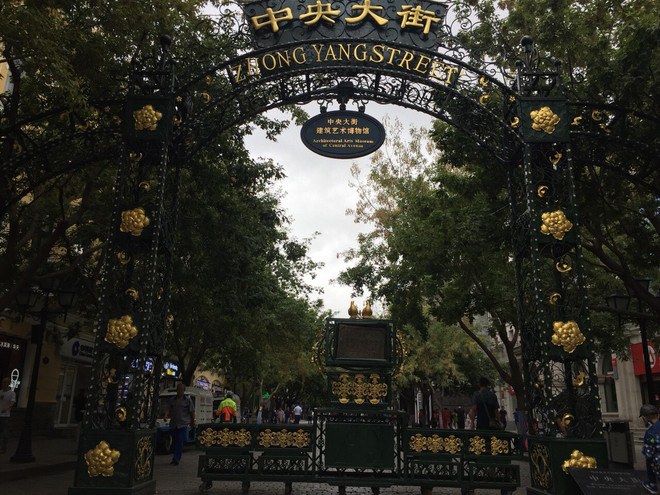 Khám phá “Thành phố băng” Cáp Nhĩ Tân-Hắc Long Giang của Trung Quốc ảnh 5