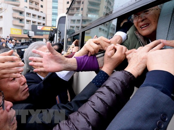 Hàn Quốc điều tra các gia đình bị ly tán do Chiến tranh Triều Tiên ảnh 1