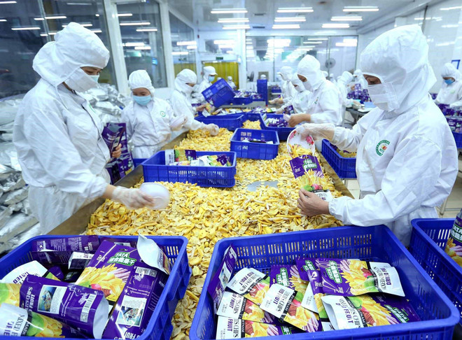 Trái cây xuất khẩu bao gồm tươi và đóng hộp là một trong những mặt hàng Việt Nam có thể xuất sang Romania. (Ảnh: Vũ Sinh/TTXVN) Việt Nam có nhiều mặt hàng lợi thế xuất khẩu sang Romania ảnh 1