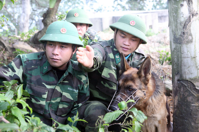 Phó Thủ tướng chỉ đạo quân đội đẩy mạnh chống tội phạm ảnh 1