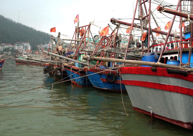 Kiên quyết thực hiện lệnh cấm biển nhằm phòng tránh bão số 4 ảnh 1