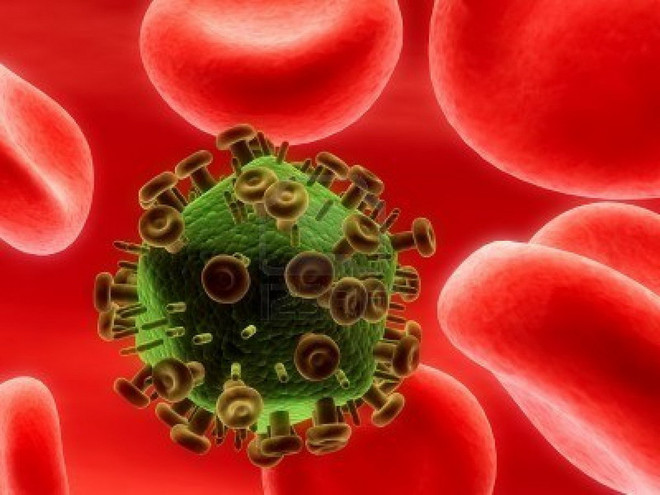 Phát hiện bằng chứng liên quan khả năng tái sinh của virus HIV ảnh 1