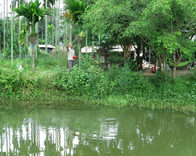 Mô hình trang trại cho doanh thu gần 4 tỷ đồng mỗi năm ảnh 1