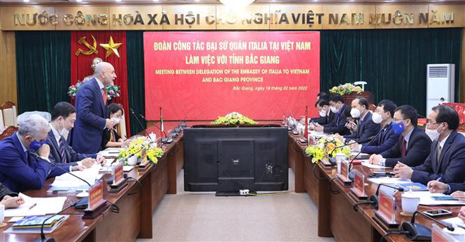 Italy quan tâm sản xuất nông nghiệp và chế biến gỗ tại Bắc Giang ảnh 1