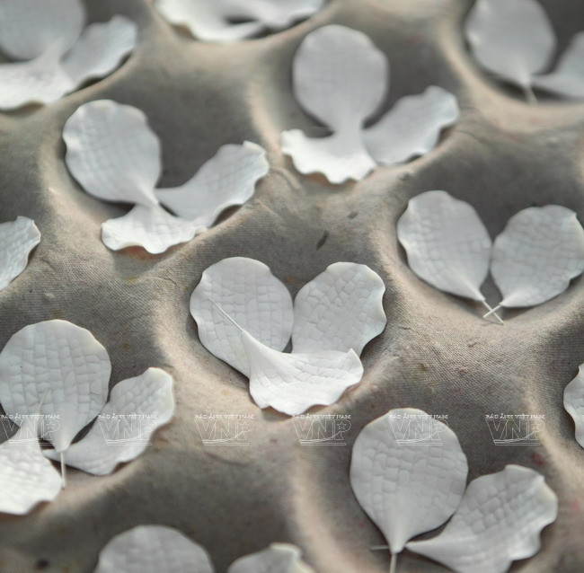 Làm hoa bằng đất sét: Thổi hồn vào những nắm bột đất vô tri ảnh 5