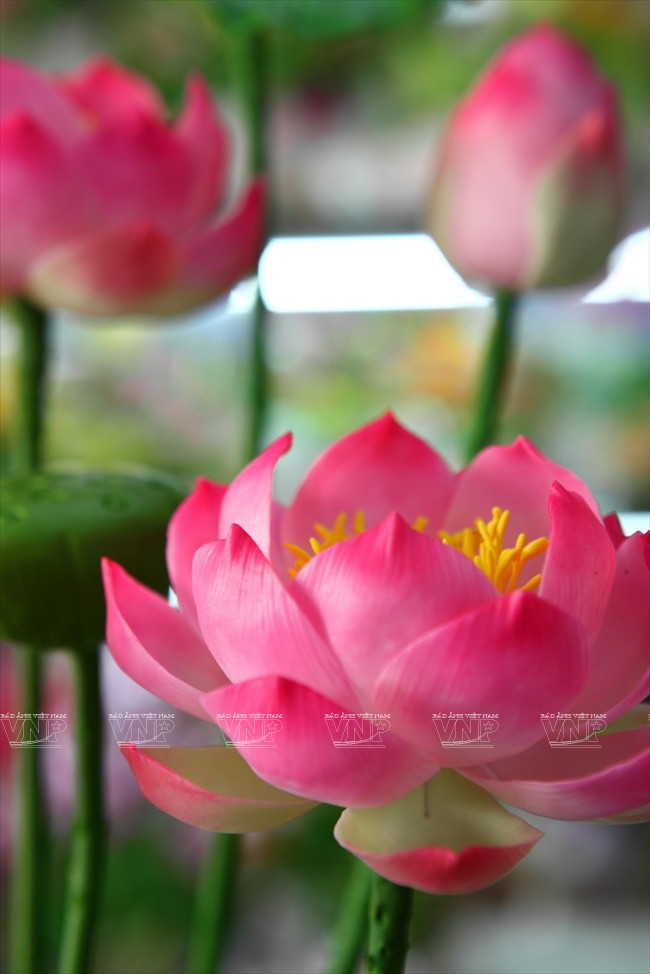 Làm hoa bằng đất sét: Thổi hồn vào những nắm bột đất vô tri ảnh 15