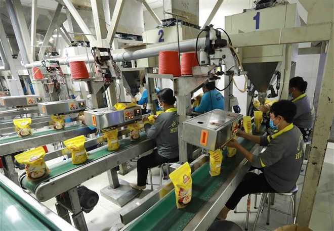 Doanh nghiệp Việt cần "bọc lót" lẫn nhau để "tối đa" lợi ích từ EVFTA ảnh 4