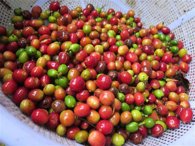 Thương mại Việt Nam-Thái Lan: Hướng tới mục tiêu 25 tỷ USD ảnh 3