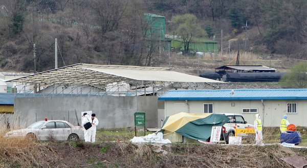 Hàn Quốc nỗ lực khống chế dịch bệnh lở mồm long móng ảnh 1