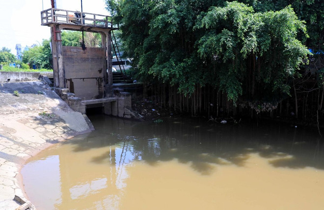 ung pho bao_thai binh 2.jpg