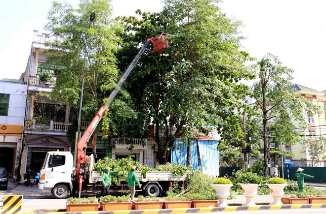 ung pho bao_thai binh.jpg