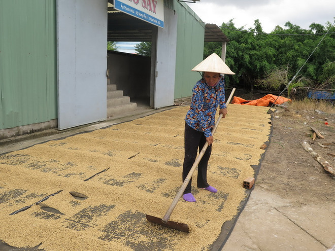 Hỗ trợ tín dụng cho hợp tác xã: Nguồn quỹ tín dụng nghèo nàn ảnh 2