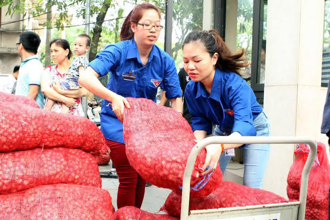 TTXVN chung tay tiêu thụ hành tím giúp bà con nông dân Sóc Trăng ảnh 2