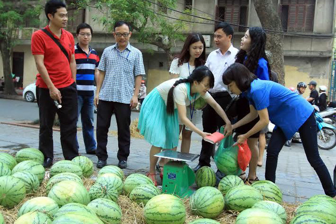 TTXVN chung tay tiêu thụ hành tím giúp bà con nông dân Sóc Trăng ảnh 4