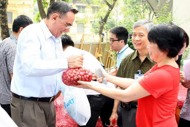 TTXVN chung tay tiêu thụ hành tím giúp bà con nông dân Sóc Trăng ảnh 3