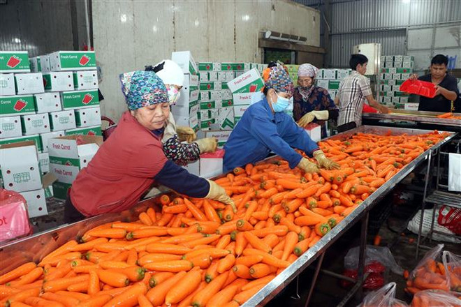 Các khu công nghiệp Hải Dương thu hút FDI vượt kế hoạch cả năm ảnh 2