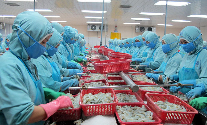 Ảnh minh họa. (Nguồn: TTXVN) Cổ phần hóa công ty mẹ-Tổng công ty Thủy sản Việt Nam ảnh 1