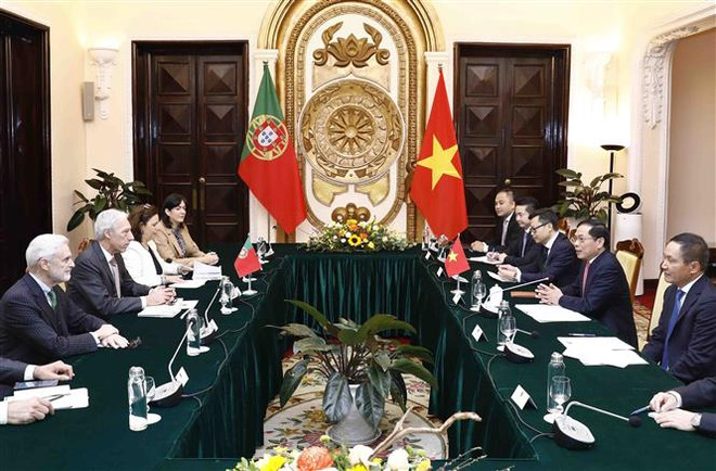 Bộ trưởng Bùi Thanh Sơn hội đàm với người đồng cấp Bồ Đào Nha ảnh 2