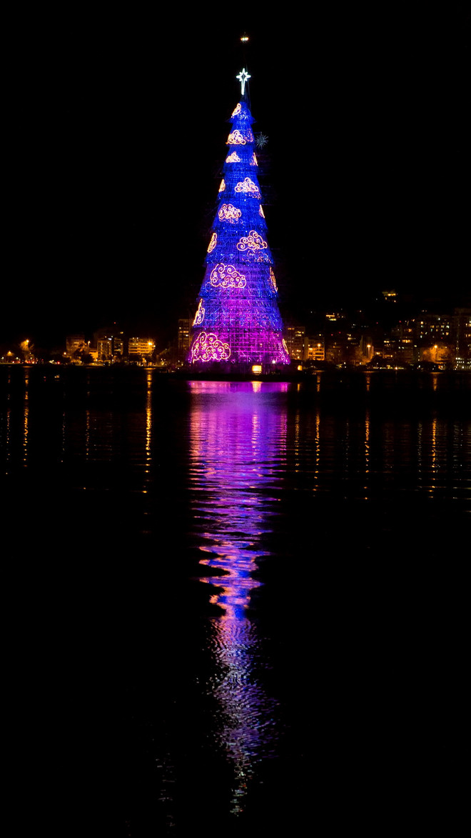 [Photo] Cây thông Noel khổng lồ thắp sáng nhờ 3,1 triệu bóng đèn LED ảnh 2