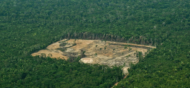 Rừng Amazon: Lá phổi xanh của thế giới bị tàn phá ở mức độ gây sốc ảnh 1