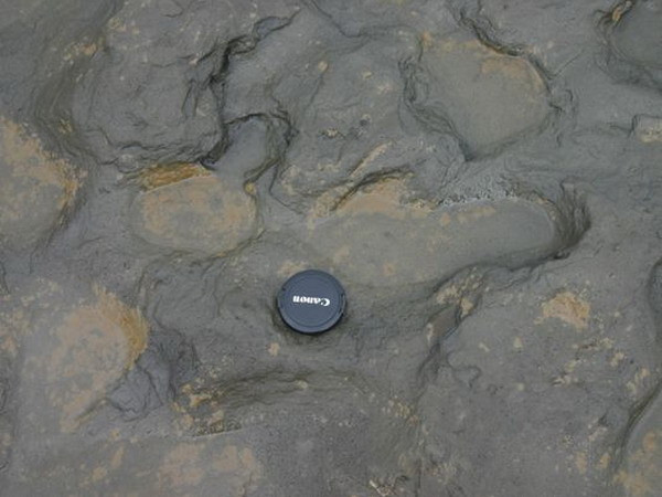 Tìm thấy vết chân người sống cách đây 800.000 năm ảnh 1