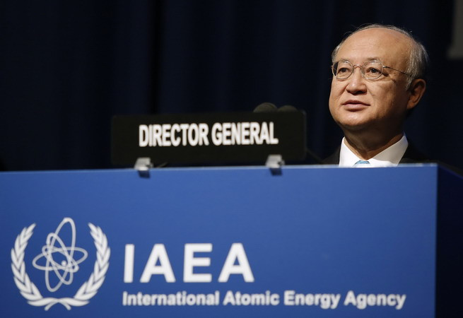 IAEA cam kết ưu tiên hỗ trợ Việt Nam trong lĩnh vực điện hạt nhân ảnh 1