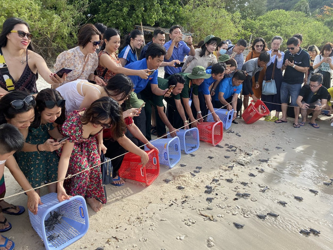 vuon quoc gia con dao 2.jpg