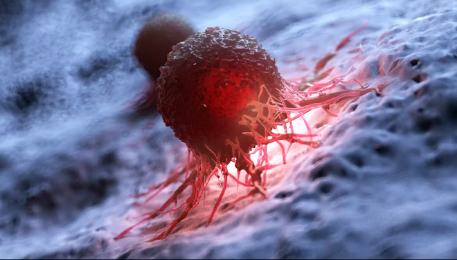 Vi khuẩn biến đổi gene có thể giúp phát hiện tế bào ung thư ảnh 1