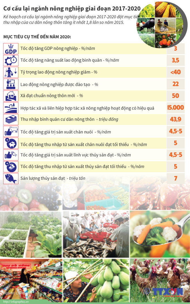 Thủ tướng Nguyễn Xuân Phúc đối thoại với nông dân tại Hải Dương ảnh 4