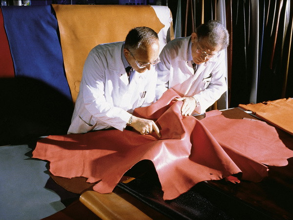 Công nghệ thuộc da không cần nước giúp bảo vệ môi trường ảnh 1