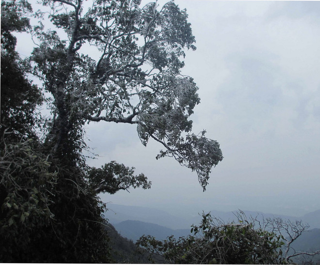 [Photo] Tam Đảo lần đầu đón tuyết rơi trong vòng 30 năm qua ảnh 1