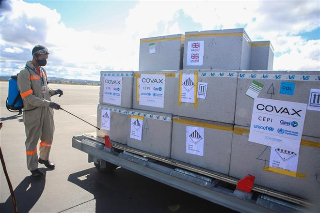 Chuyên gia cho rằng cơ chế COVAX đã "sớm quá tải" do các nước giàu tiếp cận nhanh hơn khiến các nước khác bị tụt lại phía sau. (Ảnh: AFP/TTXVN) IFPMA đề xuất cơ chế đảm bảo nguồn cung vaccine cho các nước nghèo ảnh 1