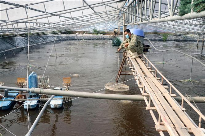 Bảo đảm đón Tết Nhâm Dần 2022 vui tươi, an toàn, tiết kiệm ảnh 2