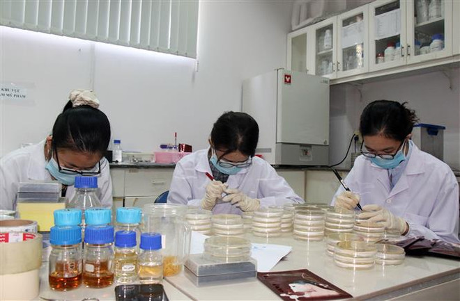 TP.HCM: Thưởng Tết Nguyên đán bình quân hơn 8,8 triệu đồng/người ảnh 1