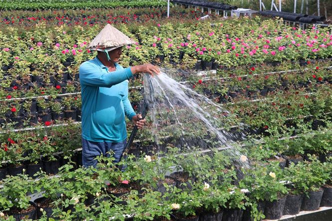 Bảo đảm đón Tết Nhâm Dần 2022 vui tươi, an toàn, tiết kiệm ảnh 3