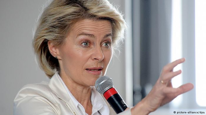 Đức, Iraq thảo luận việc hỗ trợ vũ khí cho người Kurd chống IS ảnh 1