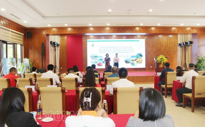 Tăng cường hợp tác du lịch giữa Sa Pa và thành phố Di Lặc ảnh 2