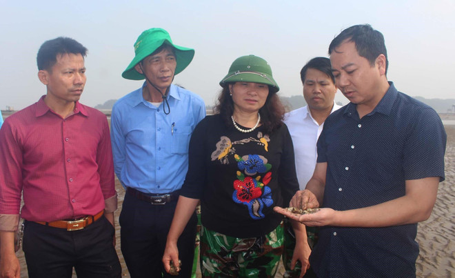 Ngư dân Thanh Hóa ngao ngán vì ngao chết trắng đồng ảnh 2