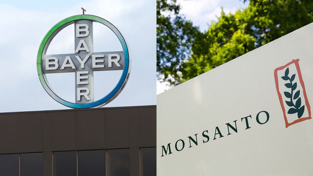 Châu Âu mở điểu tra về thương vụ Bayer-Monsanto trị giá 66 tỷ USD ảnh 1
