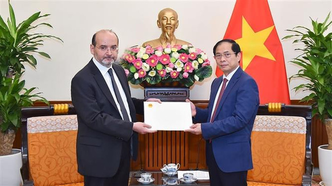 Thổ Nhĩ Kỳ đánh giá cao việc Việt Nam cử đoàn cứu hộ động đất ảnh 1