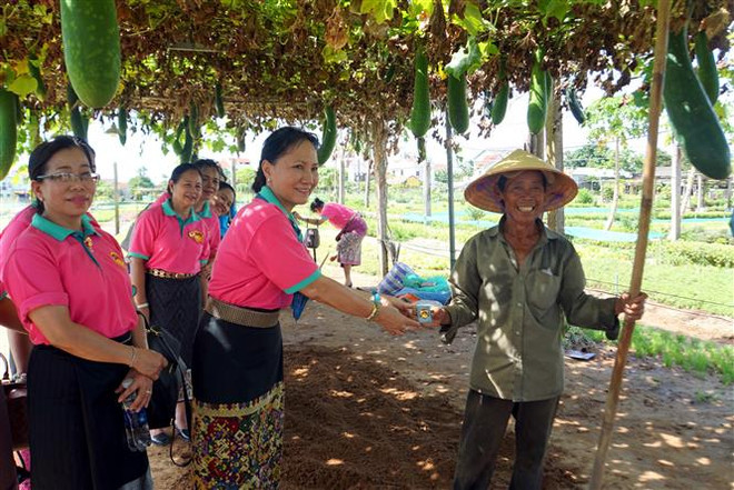 Đại biểu Hội Liên hiệp Phụ nữ Lào tặng biểu tượng hoa Champa cho một người dân làng trồng rau truyền thống Trà Quế, thành phố Hội An (Quảng Nam). (Ảnh: Trịnh Bang Nhiệm/TTXVN) Trao đổi kinh nghiệm công tác giữa hai Quốc hội Việt Nam-Lào ảnh 2