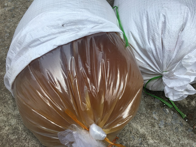 Phát hiện xe tải vận chuyển 750kg mỡ động vật không có giấy tờ hợp lệ ảnh 1