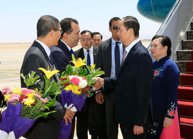 Báo Ai Cập: Mở ra triển vọng mới cho hợp tác Ai Cập và Việt Nam ảnh 1