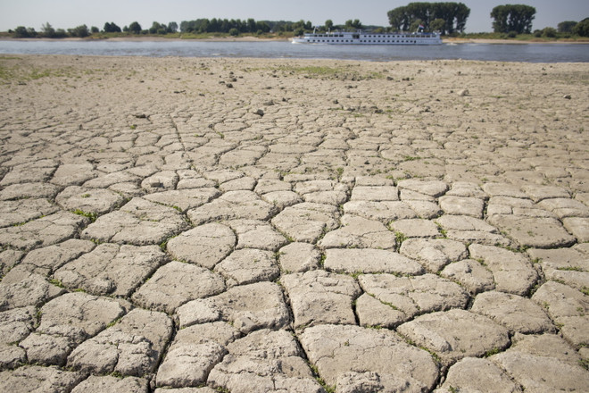 Ngành chăn nuôi ở châu Âu 'đau đầu' vì hạn hán hiếm thấy ảnh 1