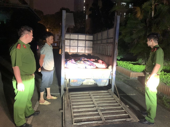 Công an Vĩnh Phúc bắt quả tang vụ vận chuyển lợn chết đi tiêu thụ. (Nguồn: Giáo Dục và Thời Đại) Vĩnh Phúc: Bắt quả tang đối tượng chở lợn chết, bốc mùi đi tiêu thụ ảnh 1