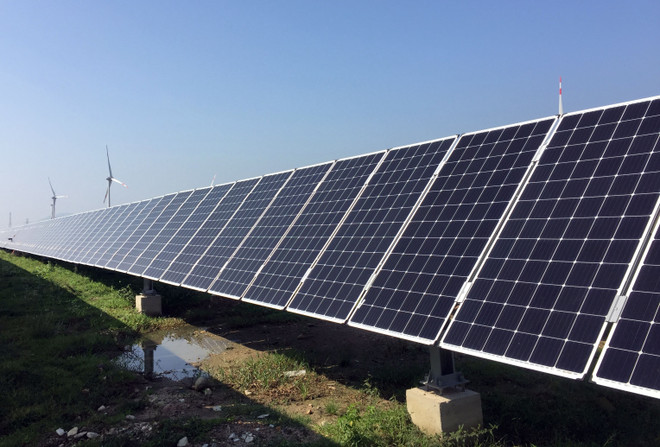 IEA: Công suất năng lượng tái tạo toàn cầu sẽ tăng 50% trong 5 năm tới ảnh 1