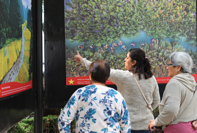 Triển lãm ảnh về đất nước, con người Việt Nam tại Mexico ảnh 2