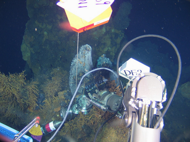 Những món quà "thơm ngọt" ý nghĩa dành tặng người thân dịp năm mới ảnh 3